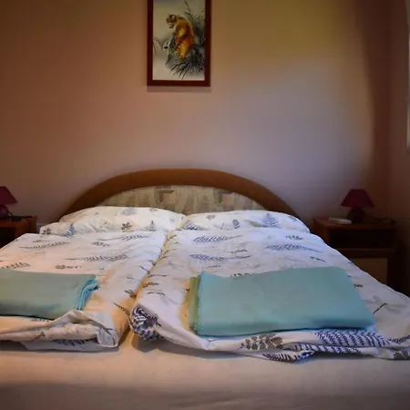 Veronica Сasa de vacaciones Zamárdi